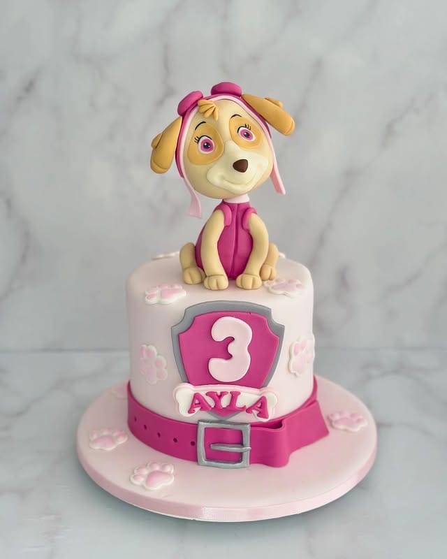 bolo personalizado sky_patrulha canina